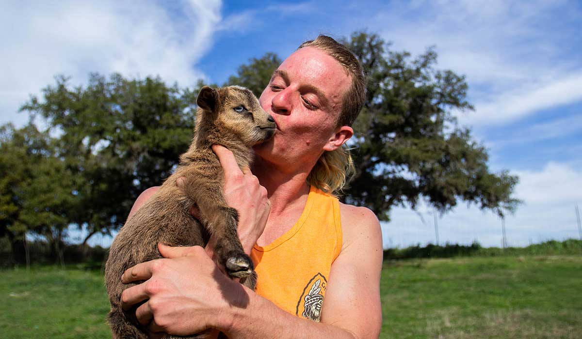 jester king brewing goats